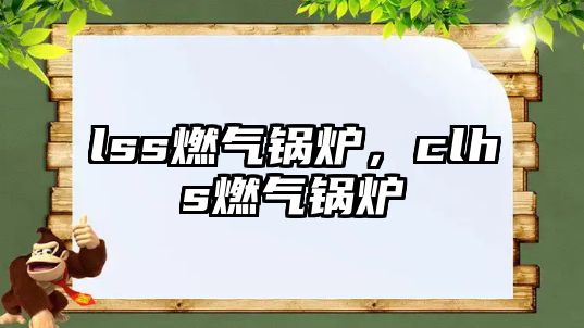 lss燃?xì)忮仩t，clhs燃?xì)忮仩t