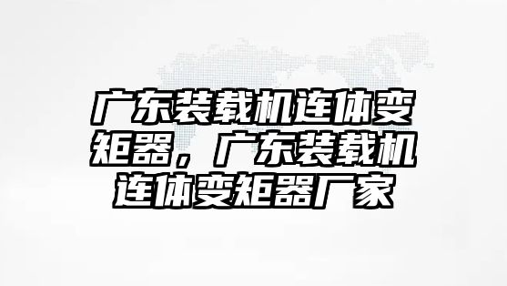 廣東裝載機連體變矩器，廣東裝載機連體變矩器廠家