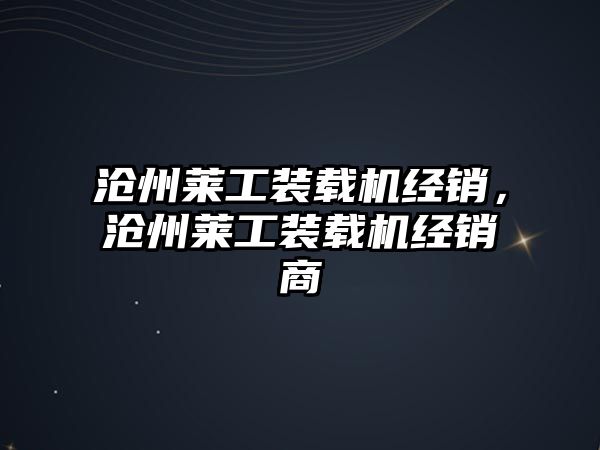 滄州萊工裝載機(jī)經(jīng)銷，滄州萊工裝載機(jī)經(jīng)銷商