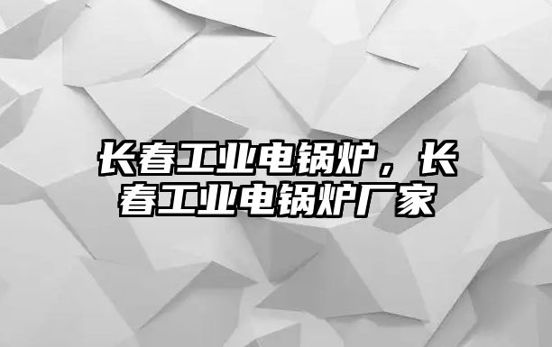 長春工業(yè)電鍋爐，長春工業(yè)電鍋爐廠家