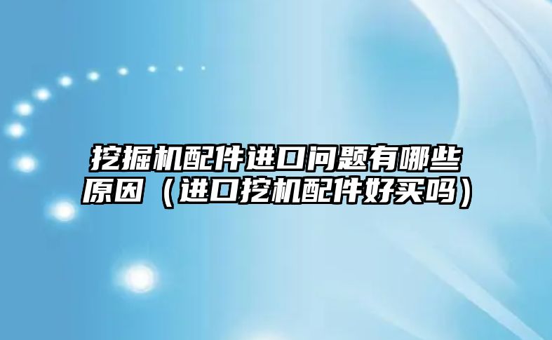 挖掘機配件進(jìn)口問題有哪些原因（進(jìn)口挖機配件好買嗎）