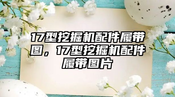 17型挖掘機(jī)配件履帶圖，17型挖掘機(jī)配件履帶圖片