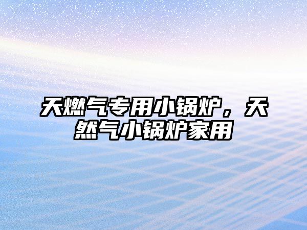 天燃?xì)鈱Ｓ眯″仩t，天然氣小鍋爐家用