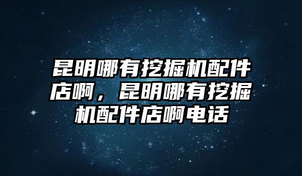 昆明哪有挖掘機(jī)配件店啊，昆明哪有挖掘機(jī)配件店啊電話