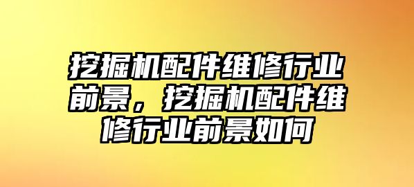 挖掘機配件維修行業(yè)前景，挖掘機配件維修行業(yè)前景如何