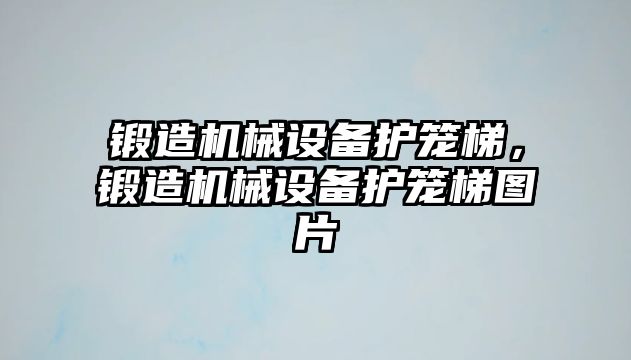 鍛造機械設(shè)備護(hù)籠梯，鍛造機械設(shè)備護(hù)籠梯圖片