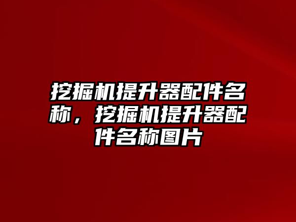 挖掘機(jī)提升器配件名稱，挖掘機(jī)提升器配件名稱圖片