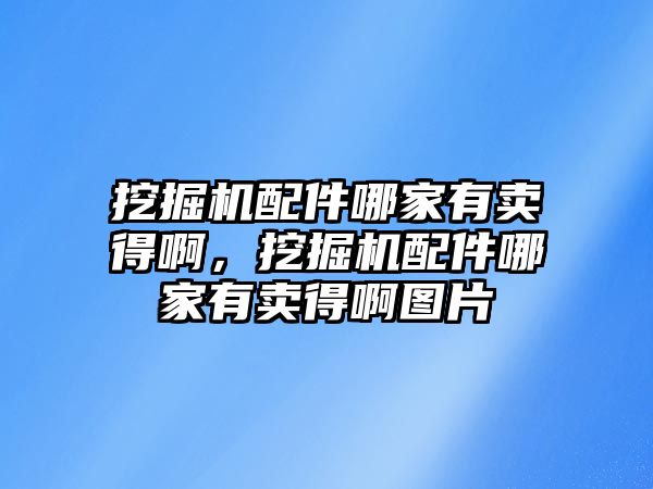 挖掘機(jī)配件哪家有賣得啊，挖掘機(jī)配件哪家有賣得啊圖片