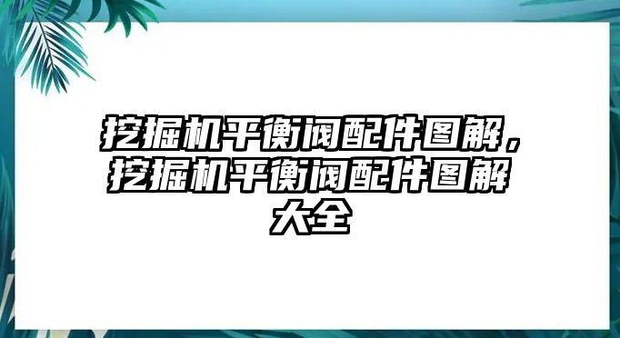 挖掘機(jī)平衡閥配件圖解，挖掘機(jī)平衡閥配件圖解大全