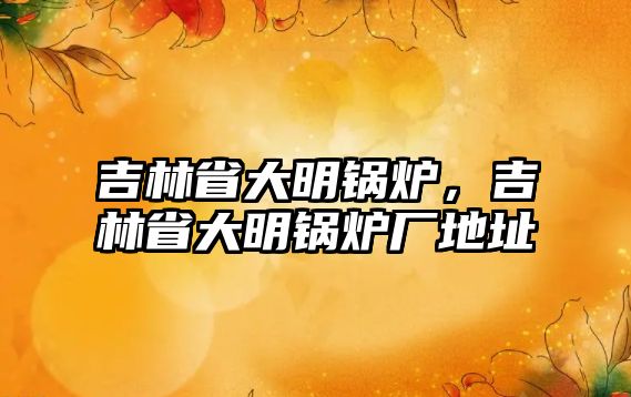 吉林省大明鍋爐，吉林省大明鍋爐廠地址