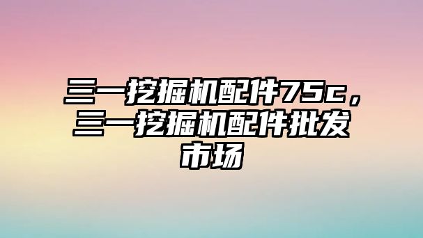 三一挖掘機配件75c，三一挖掘機配件批發(fā)市場