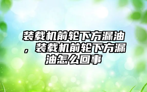 裝載機(jī)前輪下方漏油，裝載機(jī)前輪下方漏油怎么回事