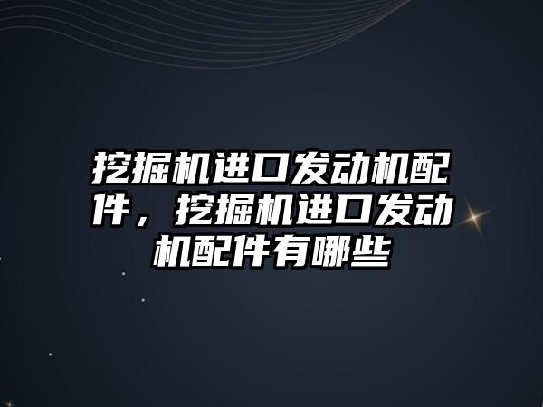 挖掘機進口發(fā)動機配件，挖掘機進口發(fā)動機配件有哪些