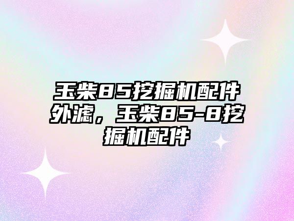 玉柴85挖掘機配件外濾，玉柴85-8挖掘機配件