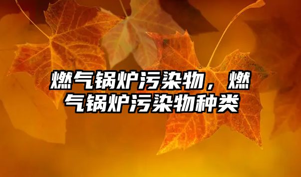 燃?xì)忮仩t污染物，燃?xì)忮仩t污染物種類(lèi)