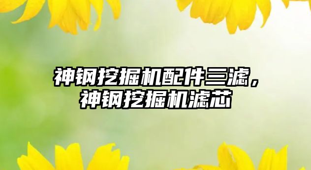 神鋼挖掘機配件三濾，神鋼挖掘機濾芯