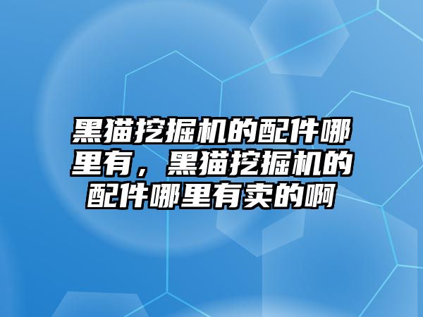 黑貓挖掘機的配件哪里有，黑貓挖掘機的配件哪里有賣的啊