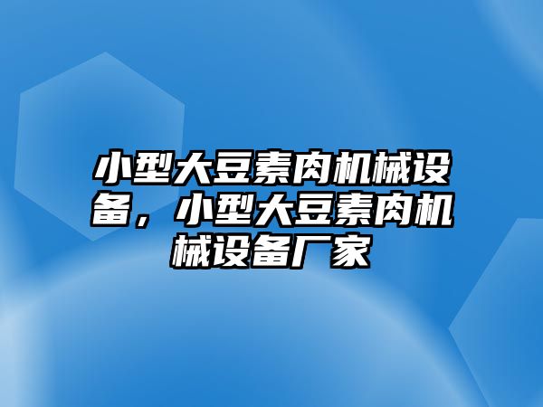 小型大豆素肉機(jī)械設(shè)備，小型大豆素肉機(jī)械設(shè)備廠家