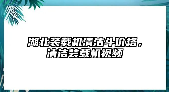 湖北裝載機(jī)清潔斗價(jià)格，清潔裝載機(jī)視頻