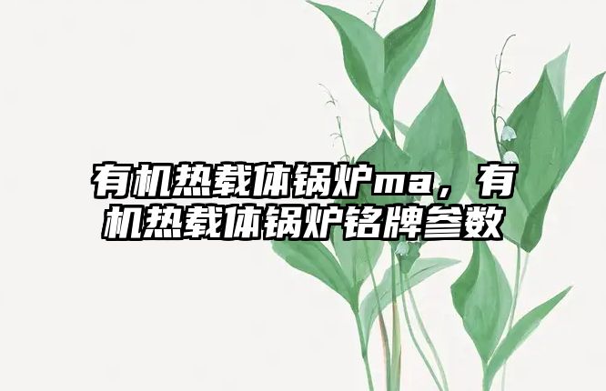 有機熱載體鍋爐ma，有機熱載體鍋爐銘牌參數(shù)