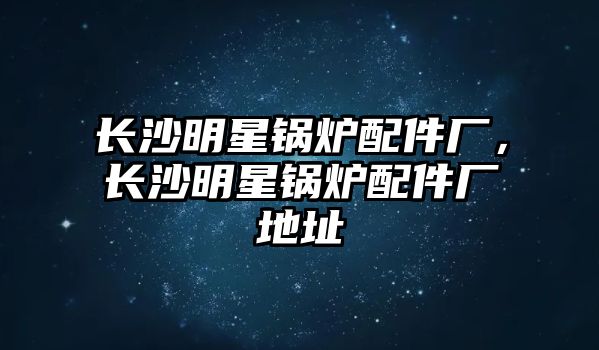 長(zhǎng)沙明星鍋爐配件廠，長(zhǎng)沙明星鍋爐配件廠地址