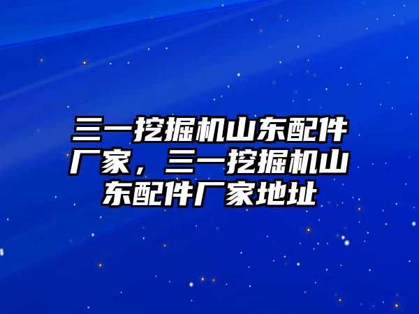 三一挖掘機山東配件廠家，三一挖掘機山東配件廠家地址