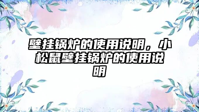 壁掛鍋爐的使用說明，小松鼠壁掛鍋爐的使用說明