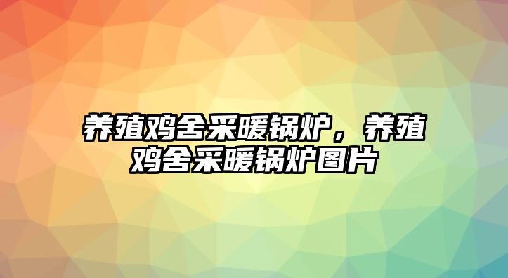 養(yǎng)殖雞舍采暖鍋爐，養(yǎng)殖雞舍采暖鍋爐圖片