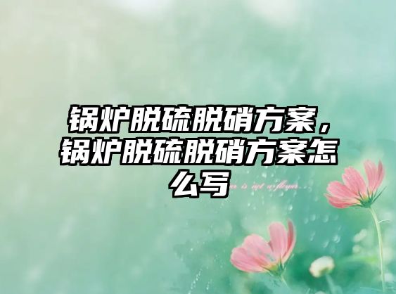 鍋爐脫硫脫硝方案，鍋爐脫硫脫硝方案怎么寫(xiě)