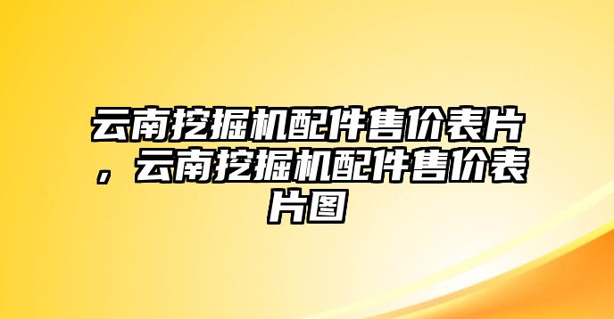 云南挖掘機(jī)配件售價表片，云南挖掘機(jī)配件售價表片圖