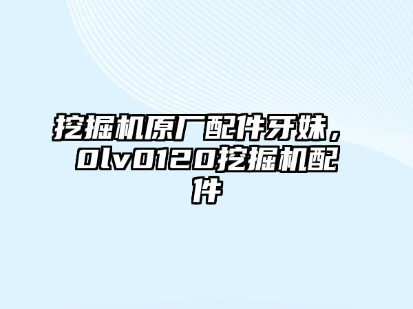 挖掘機原廠配件牙妹，ⅴ0lv0120挖掘機配件