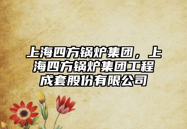 上海四方鍋爐集團，上海四方鍋爐集團工程成套股份有限公司