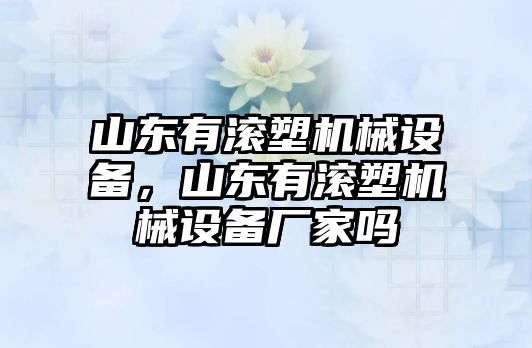 山東有滾塑機(jī)械設(shè)備，山東有滾塑機(jī)械設(shè)備廠家嗎