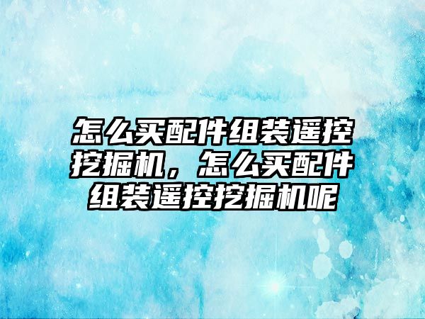 怎么買配件組裝遙控挖掘機(jī)，怎么買配件組裝遙控挖掘機(jī)呢