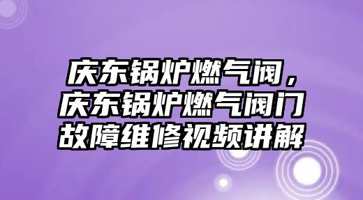 慶東鍋爐燃?xì)忾y，慶東鍋爐燃?xì)忾y門(mén)故障維修視頻講解