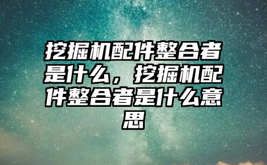 挖掘機(jī)配件整合者是什么，挖掘機(jī)配件整合者是什么意思