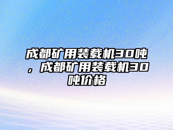 成都礦用裝載機(jī)30噸，成都礦用裝載機(jī)30噸價(jià)格