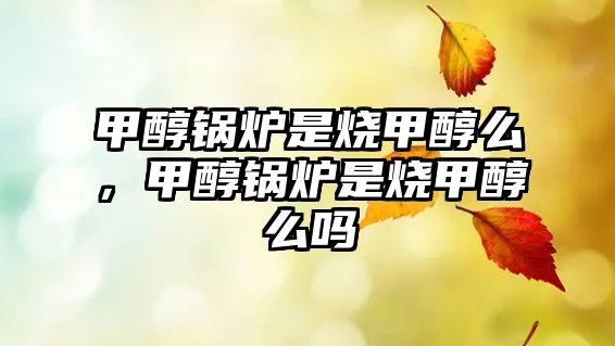 甲醇鍋爐是燒甲醇么，甲醇鍋爐是燒甲醇么嗎