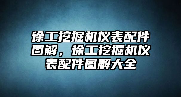 徐工挖掘機(jī)儀表配件圖解，徐工挖掘機(jī)儀表配件圖解大全