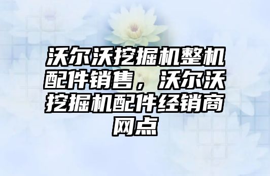 沃爾沃挖掘機整機配件銷售，沃爾沃挖掘機配件經(jīng)銷商網(wǎng)點