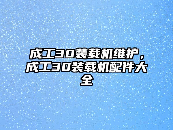 成工30裝載機維護，成工30裝載機配件大全