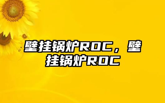 壁掛鍋爐ROC，壁掛鍋爐ROC