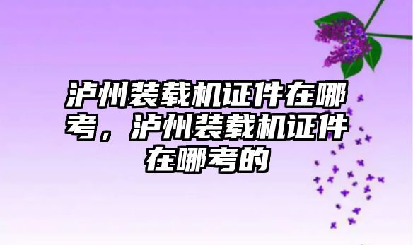 瀘州裝載機證件在哪考，瀘州裝載機證件在哪考的