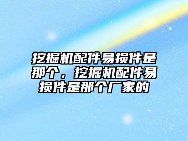 挖掘機(jī)配件易損件是那個，挖掘機(jī)配件易損件是那個廠家的