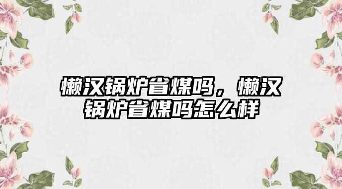 懶漢鍋爐省煤嗎，懶漢鍋爐省煤嗎怎么樣