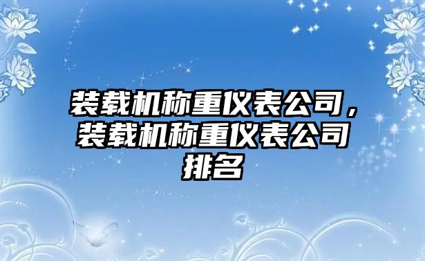 裝載機稱重儀表公司，裝載機稱重儀表公司排名