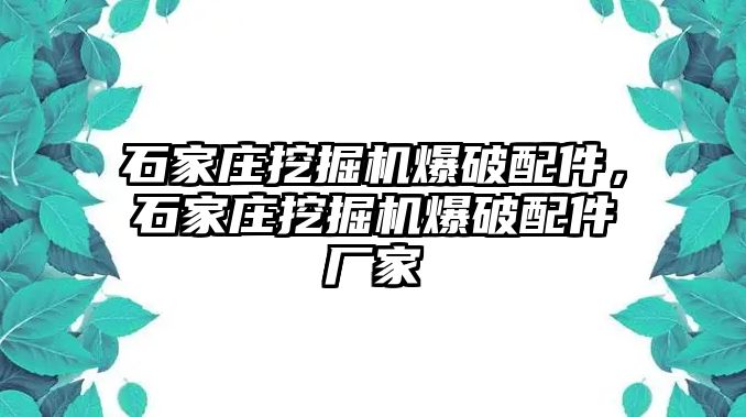 石家莊挖掘機爆破配件，石家莊挖掘機爆破配件廠家