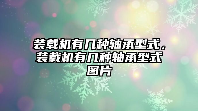 裝載機(jī)有幾種軸承型式，裝載機(jī)有幾種軸承型式圖片