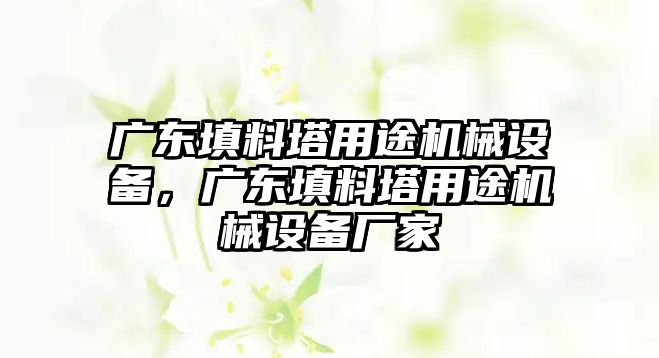 廣東填料塔用途機(jī)械設(shè)備，廣東填料塔用途機(jī)械設(shè)備廠家