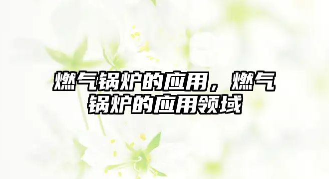 燃?xì)忮仩t的應(yīng)用，燃?xì)忮仩t的應(yīng)用領(lǐng)域